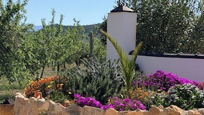 A stone planter with colorful flowers, a white wall, and a clear blue sky. - Oasis view (Oria)