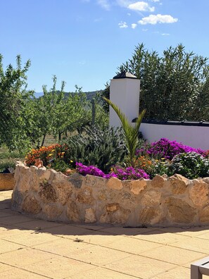 Property grounds - Oasis view (Oria)