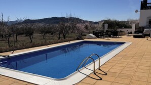 A swimming pool with a tiled deck, surrounded by a landscaped garden with trees and a view of distant hills. - Oasis view (Oria)
