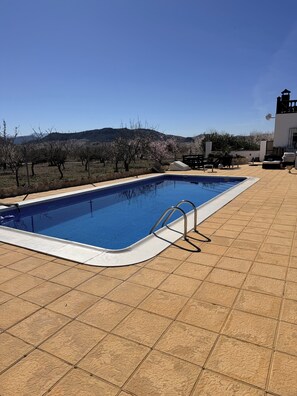 Outdoor pool, pool umbrellas, sun loungers