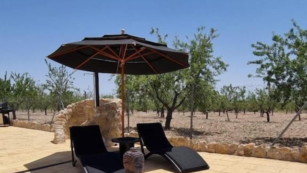 A pool area with a Buddha statue, lounge chairs, and an umbrella. - Oasis view (Oria)
