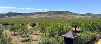 Oasis view