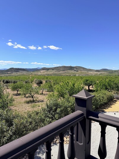 Oasis view