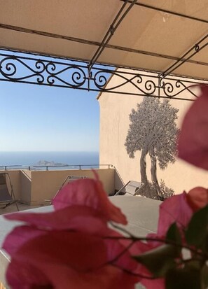 Villa Olivea | Terrace/patio - Vista di Sognu (Monticello)
