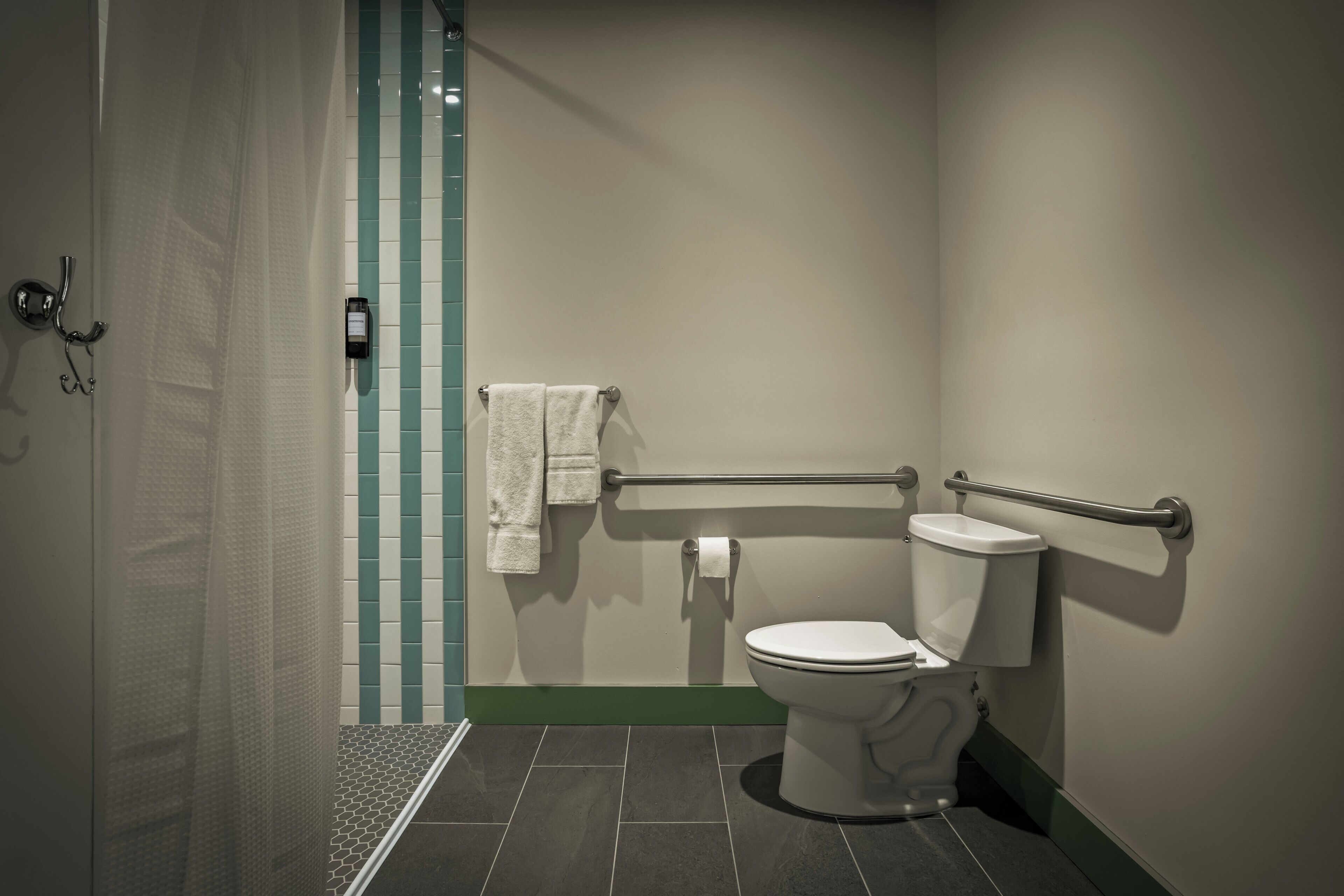 Une salle de bain équipée de toilettes, d’une douche et d’une barre d’appui.