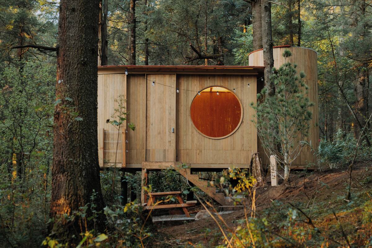 Comfort Cabin, Patio, Mountain View | Bahagian luar