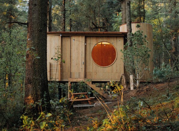 A wooden cabin with a circular window, surrounded by forest.