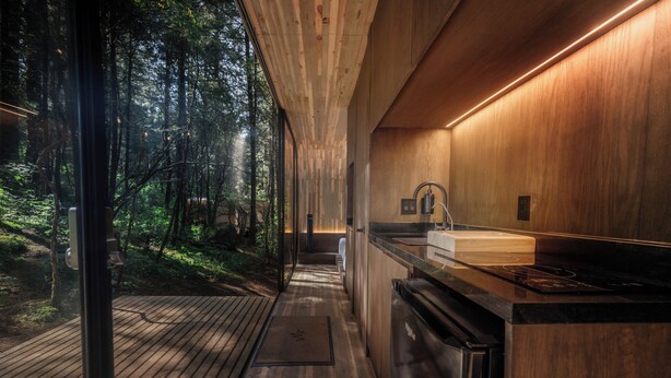 A modern kitchen with a wooden countertop, a sink, and a view of a forest through large windows.