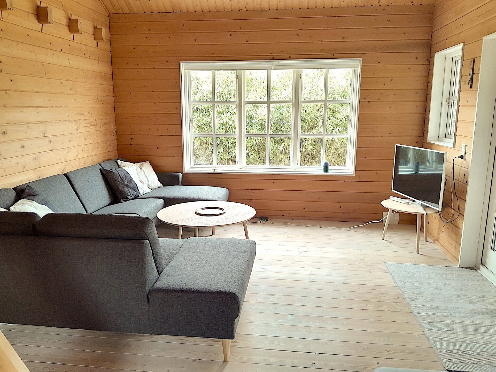 Tv, bordtennisbord