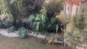 A garden with various plants and a wooden bench. - 3 bed Cluster Home in Sandton (Johannesburg)