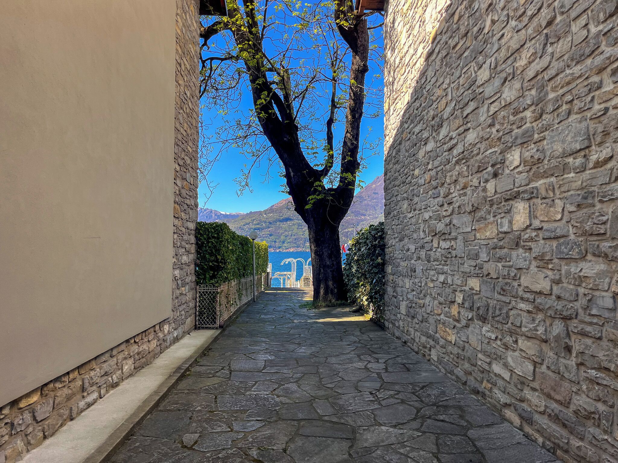 Parco della struttura