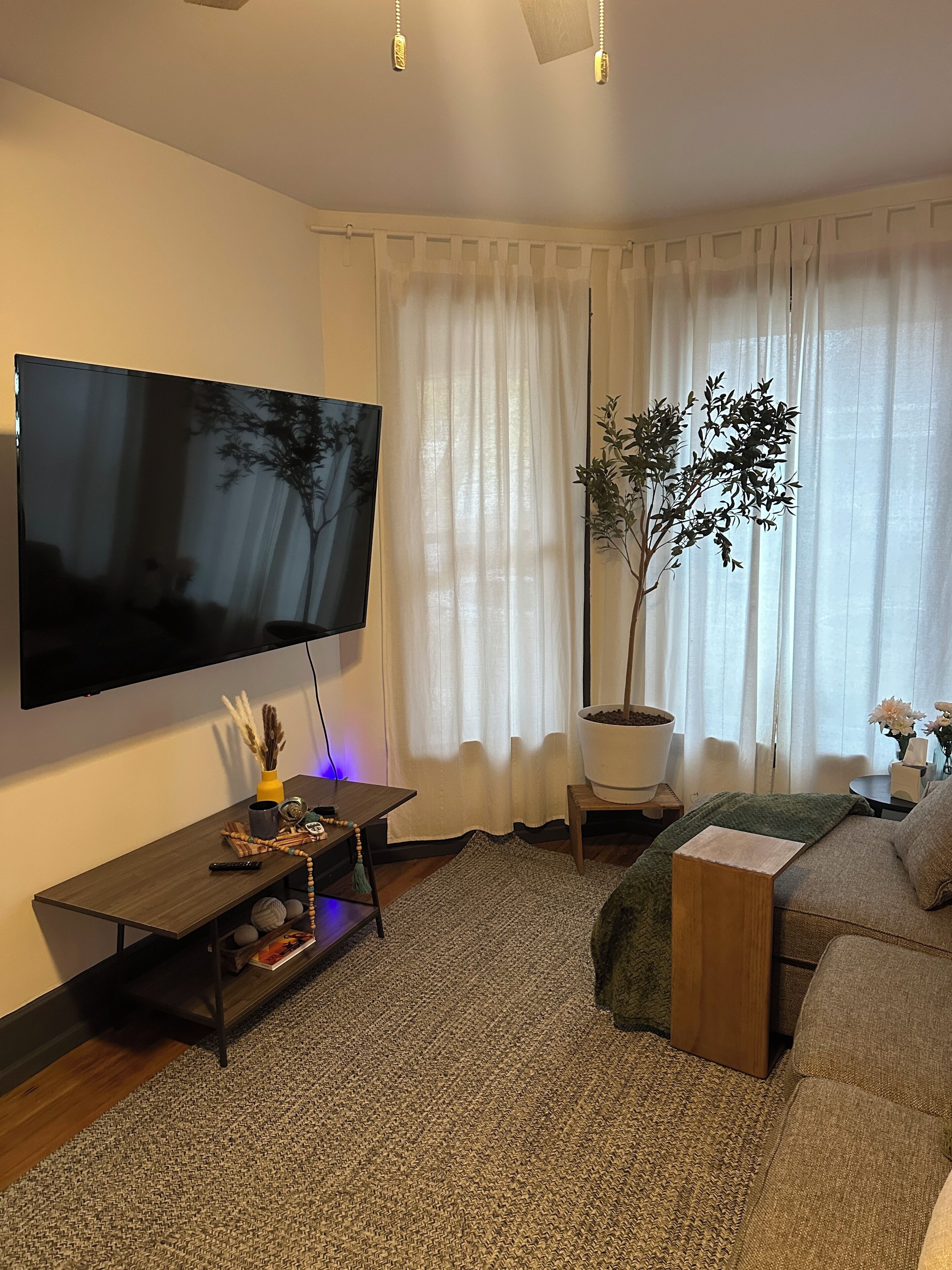 Smart TV