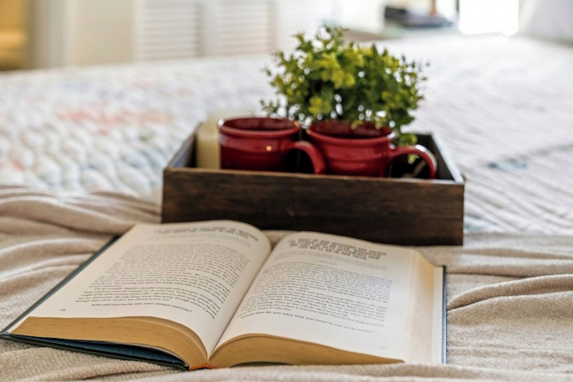 Un libro abierto sobre una cama con una bandeja de madera que contiene tazas rojas y una planta pequeña.