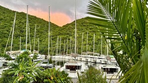 A marina with multiple boats docked, surrounded by lush greenery and hills. - Coeur de Marina, Anse Marcel Beach within Walking Distance,  full AC (Anse Marcel)
