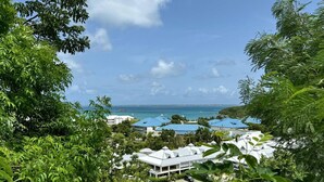 A resort with multiple buildings, a clear view of the ocean, and lush greenery. - Coeur de Marina, Anse Marcel Beach within Walking Distance,  full AC (Anse Marcel)