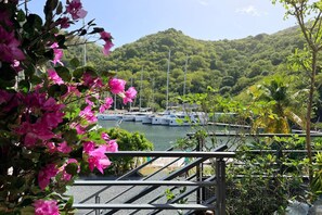 Property grounds - Coeur de Marina, Anse Marcel Beach within Walking Distance,  full AC (Anse Marcel)