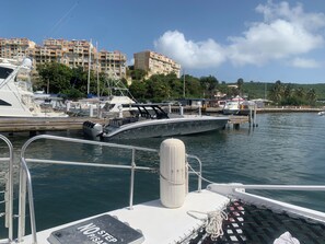 Ein Yachthafen mit vertäuten Booten, blauem Himmel und Gebäuden im Hintergrund.