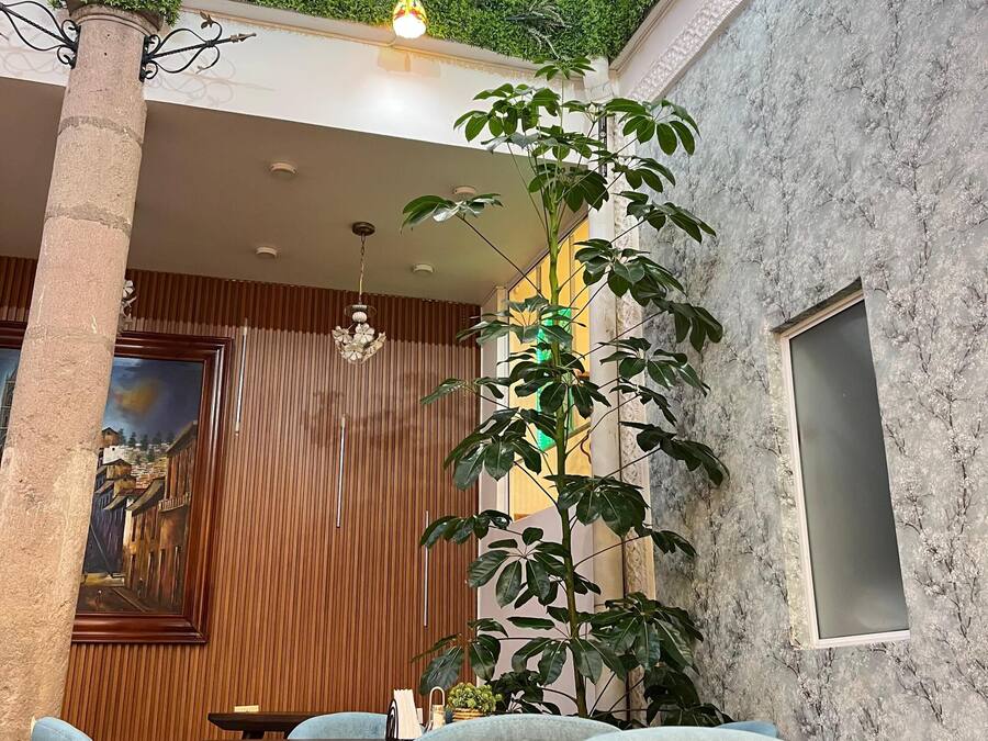 Un comedor con techo alto, una planta grande y un cuadro en la pared.