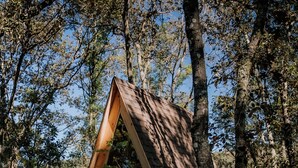 A wooden cabin with a triangular roof, surrounded by trees. - WANDER CABINS MIneral del Chico (Mineral del Chico)
