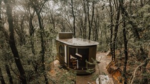A rustic cabin in a forest with a circular deck and wooden chairs. - WANDER CABINS MIneral del Chico (Mineral del Chico)