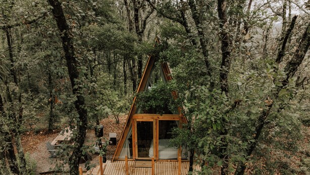 A wooden treehouse with a platform and a door, surrounded by dense forest. - WANDER CABINS MIneral del Chico (Mineral del Chico)