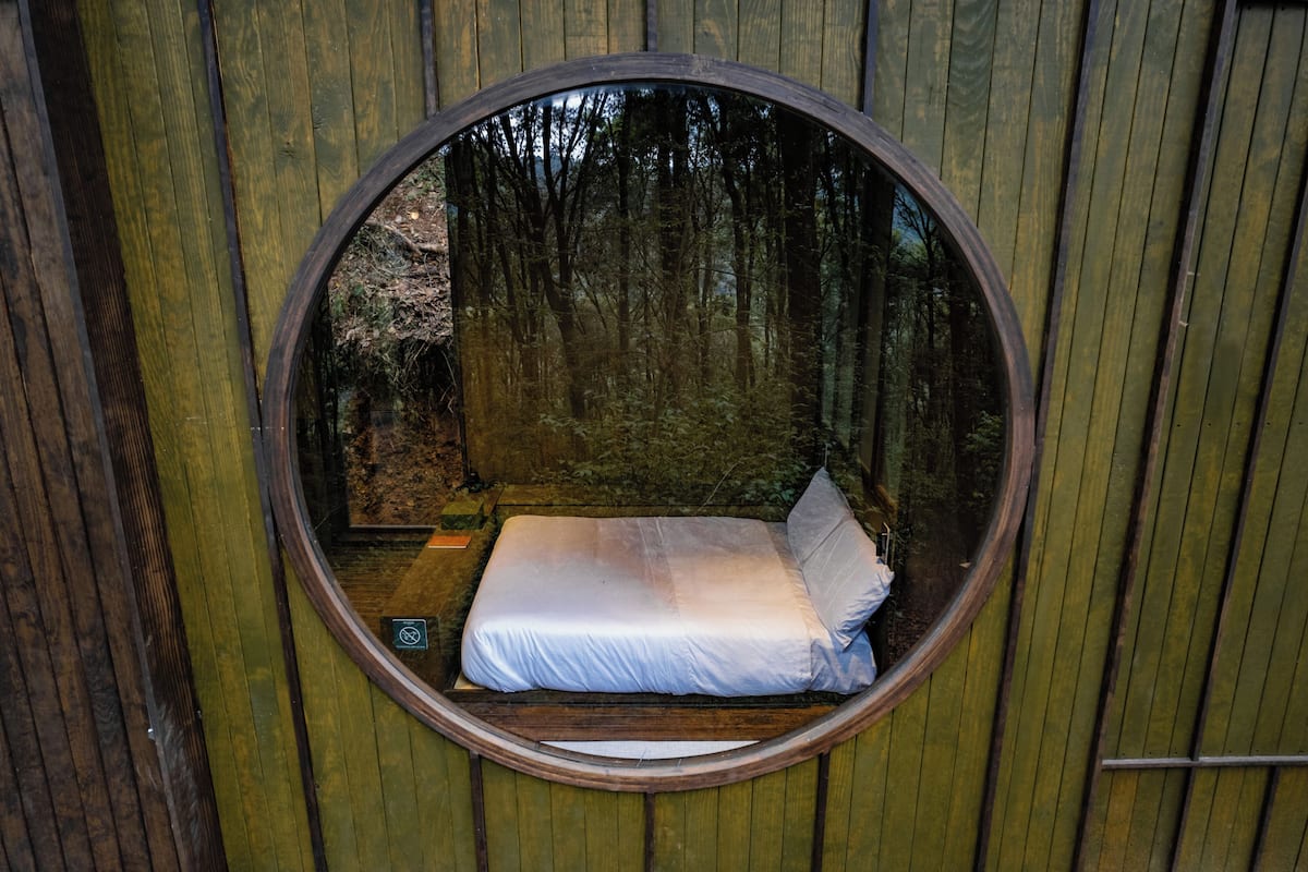 Een ronde kamer met houten wanden, een bed en uitzicht op een bos.