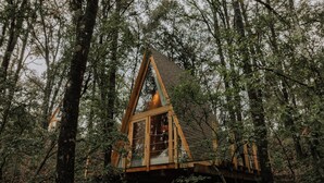 A wooden cabin elevated on stilts in a forest. - WANDER CABINS MIneral del Chico (Mineral del Chico)