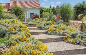Property grounds - Cozy home in Excideuil (Excideuil)