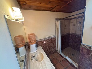 Een badkamer met een wastafel, spiegel, twee waterkranen en een douchegedeelte.