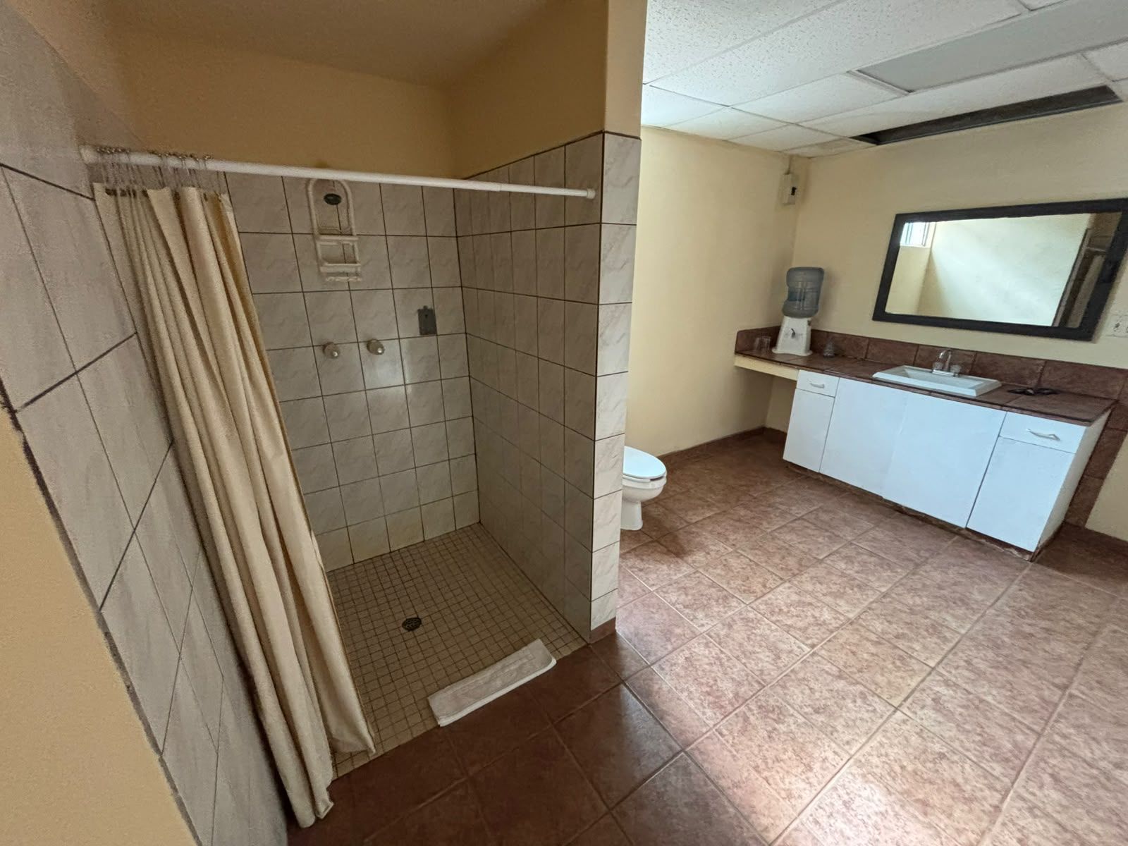 A bathroom with a shower, toilet, sink, and mirror.