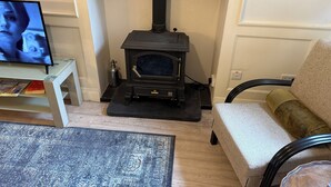 A living room with a black wood-burning stove, a television on a stand, a sofa, and a patterned rug.