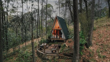 Classic Cabin, Patio, Mountain View | Property grounds