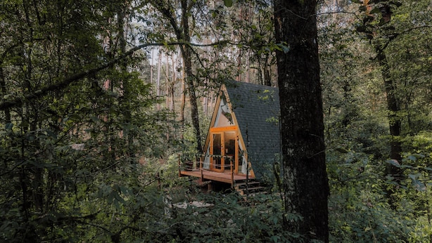 Een houten blokhut in een bos, met een houten terras en grote ramen.