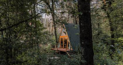 WANDER CABINS Valle de Bravo