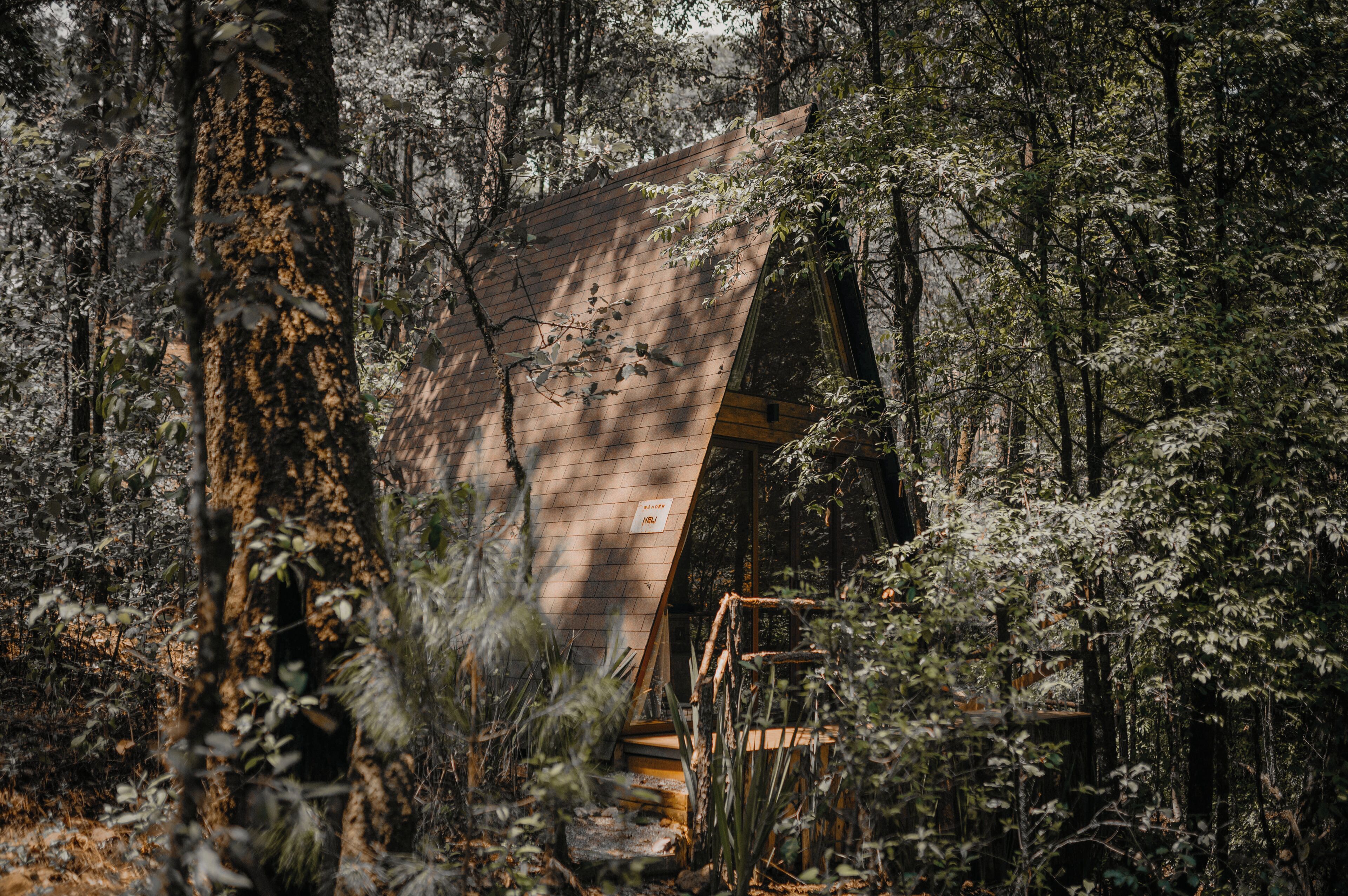 Family Cabin, Patio, Mountain View | Exterior
