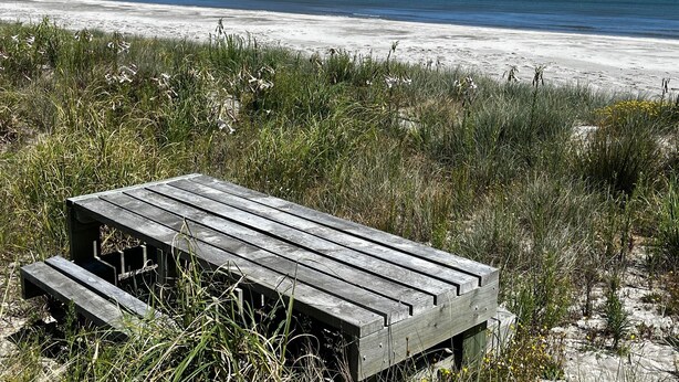 Um banco de madeira numa área gramada, com uma praia e falésias ao fundo.