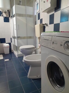 Shower, hair dryer, bidet, towels