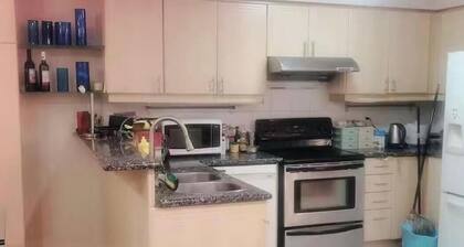 Newly Renovated Bright Suite in Quiet Neighborhood, Convenient