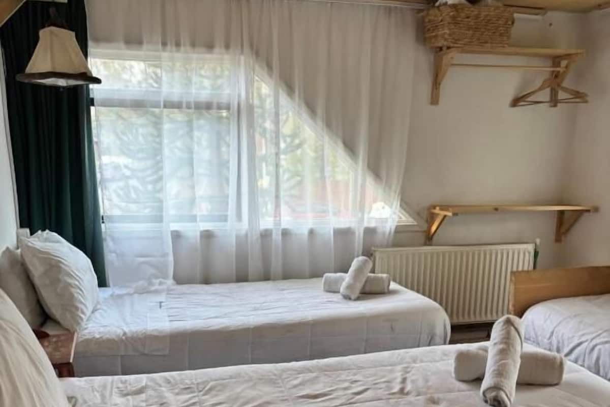 Basic Triple Room, Balcony, Garden View | WiFi (free)
