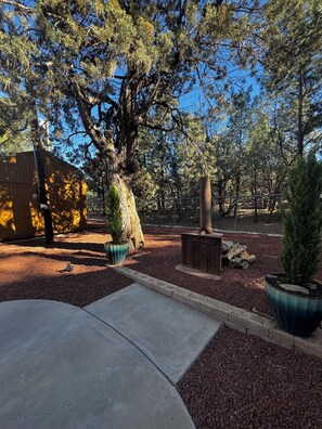 Property grounds - Studio Chalet Guesthouse in Show Low (Show Low)