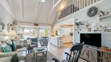 TV, fireplace, books, video library