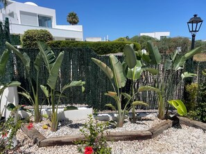 Ein Garten mit tropischen Pflanzen, einem hölzernen Baumstamm und einem weißen Gebäude im Hintergrund.