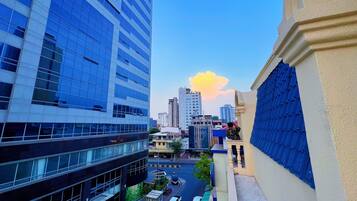 City view from property