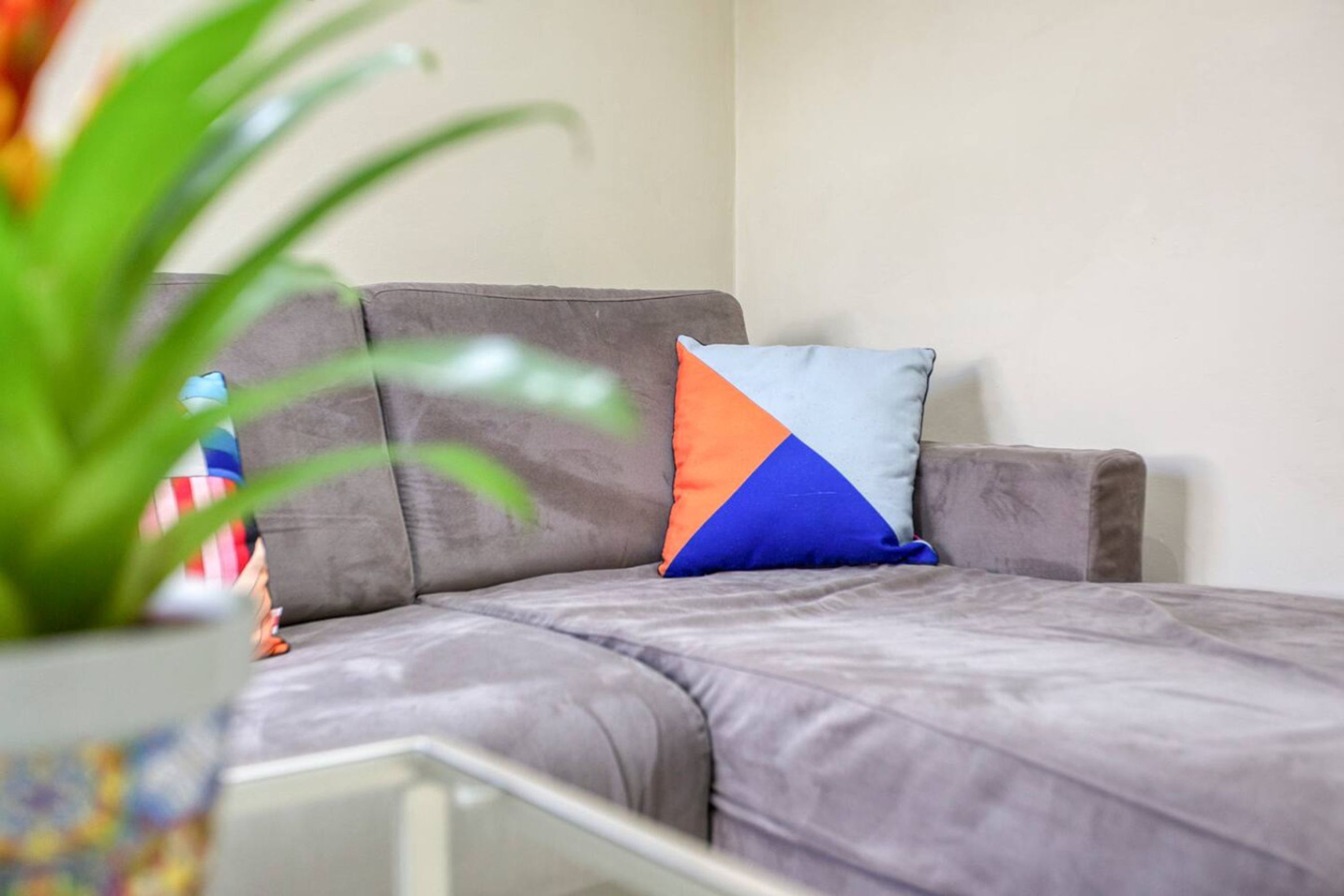 A grey sofa with a blue and orange pillow, a white table, and a green plant.