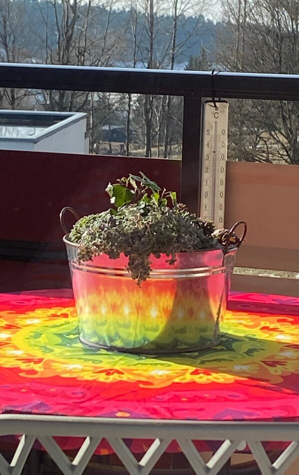 Property grounds - Vrbo Property (Sankt Englmar)