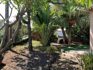 Property grounds - Villa gîte ti bois de nefles coco - Allamanda (Saint-Louis)