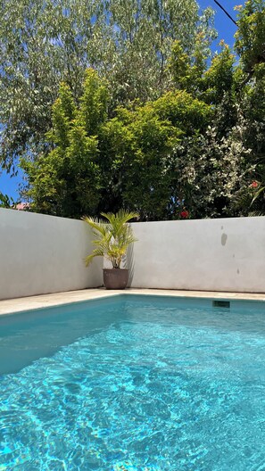 Pool - Villa gîte ti bois de nefles coco - Allamanda (Saint-Louis)
