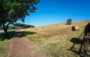Property grounds - Lovely apartment in Montecatini Val di Cecina (Montecatini Val di Cecina)