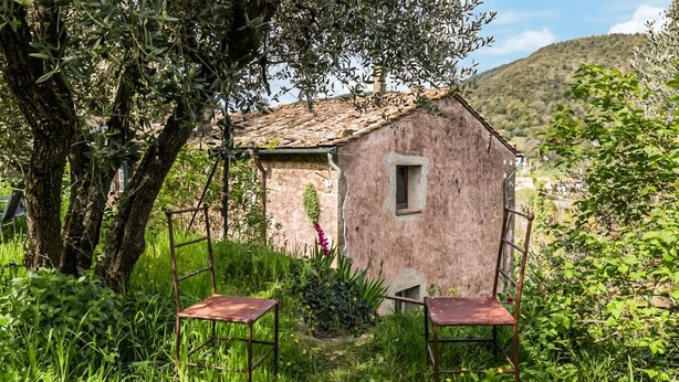 Un bâtiment rustique en pierre, doté d’une petite fenêtre, entouré d’une végétation luxuriante et d’un arbre.