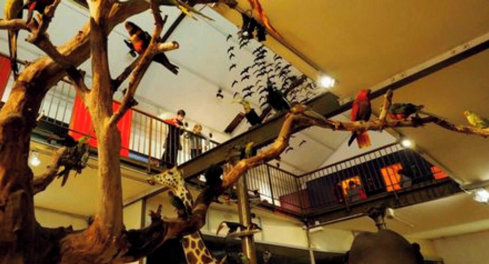 Een meerlaags atrium met een boomstructuur, balkons en een trap.